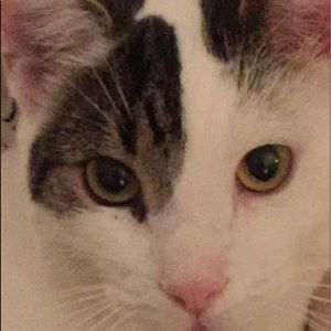 Meet your Posher, Kennedy